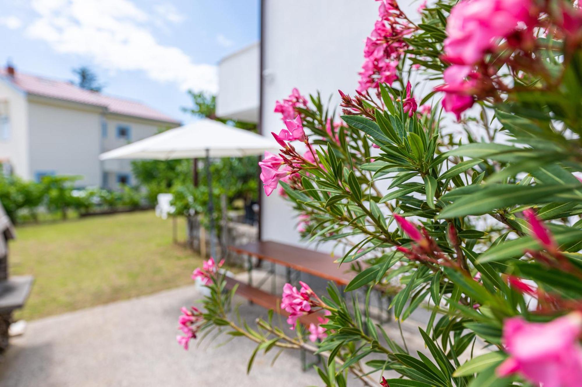 Apartments Vjeko Krk Town Εξωτερικό φωτογραφία